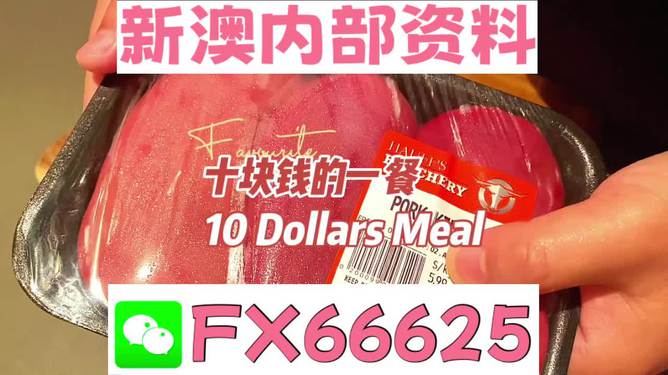 新澳2025资料最新大全与2025新澳门最精准免费大全,全面释义、解释与落实与警惕虚假宣传