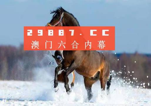 2025新澳门天天免费大全,详细解答、解释与落实-警惕虚假宣传-详细解答、解释与落实